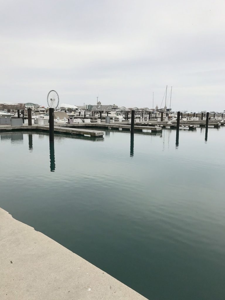 things to do in chicago, travel blogger, magnificent mile, windy city, DC blogger, saumya shiohare, myriad musings, lifestyle things to do in chicago, travel blogger, magnificent mile, windy city, DC blogger, saumya shiohare, myriad musings, lifestyle